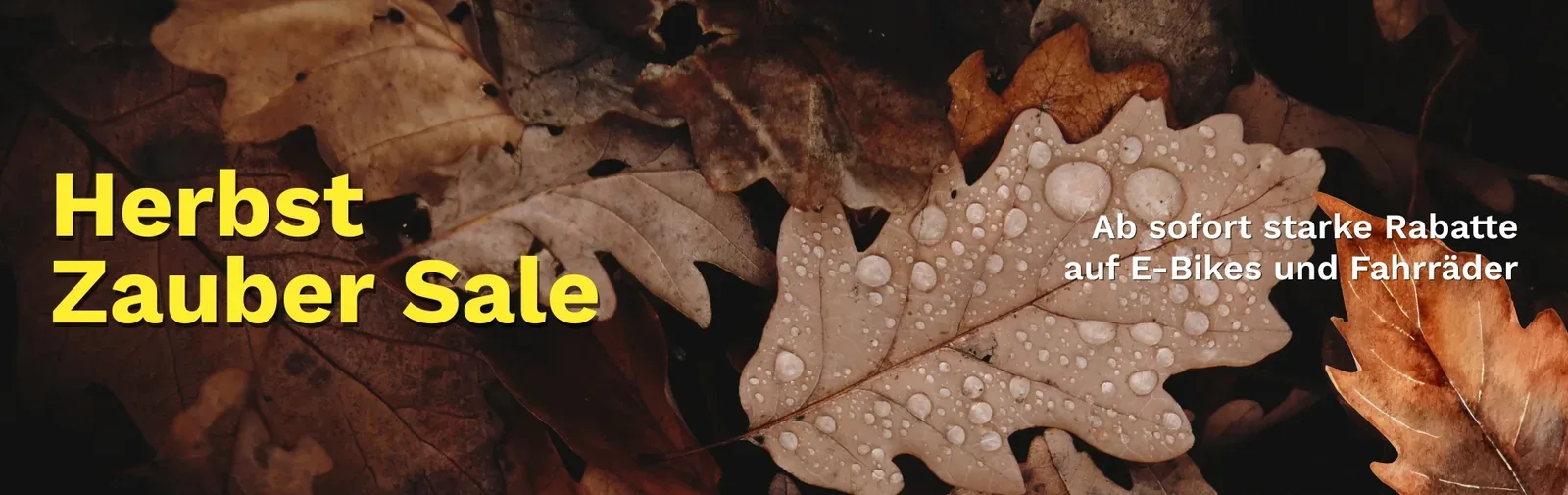 Herbst Zauber Sale