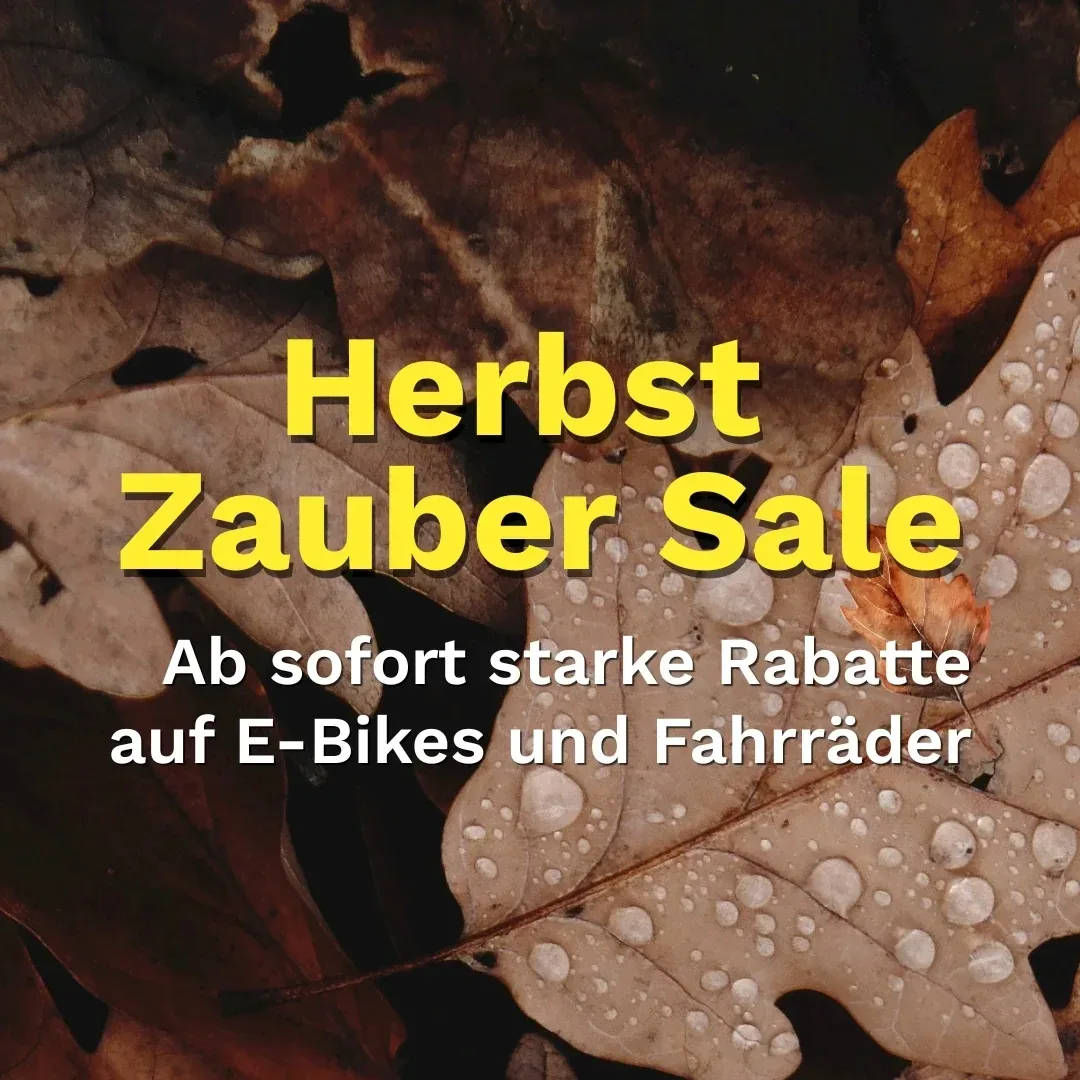 Herbst Zauber Sale